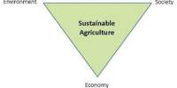 Significance Of Sustainable Farming