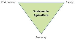 Significance Of Sustainable Farming