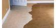 What to Do With Water Damaged Carpet