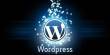 Analysis on Using WordPress