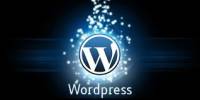 Analysis on Using WordPress