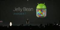 Know the Jelly Bean
