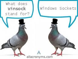 Meaning of Winsock