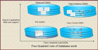 Database Design Theory