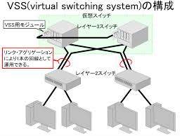 Virtual Switching System
