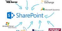 Know about SharePoint Search Software