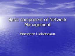 Components of Network Management