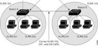 Secure VLAN Networks