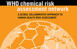 Network Risk Assessment
