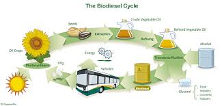 Basics of Biodiesel