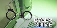 An International Perspective on Cyber Crime