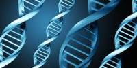 Define on DNA Genetic Testing