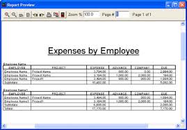 Employee Expense Reports