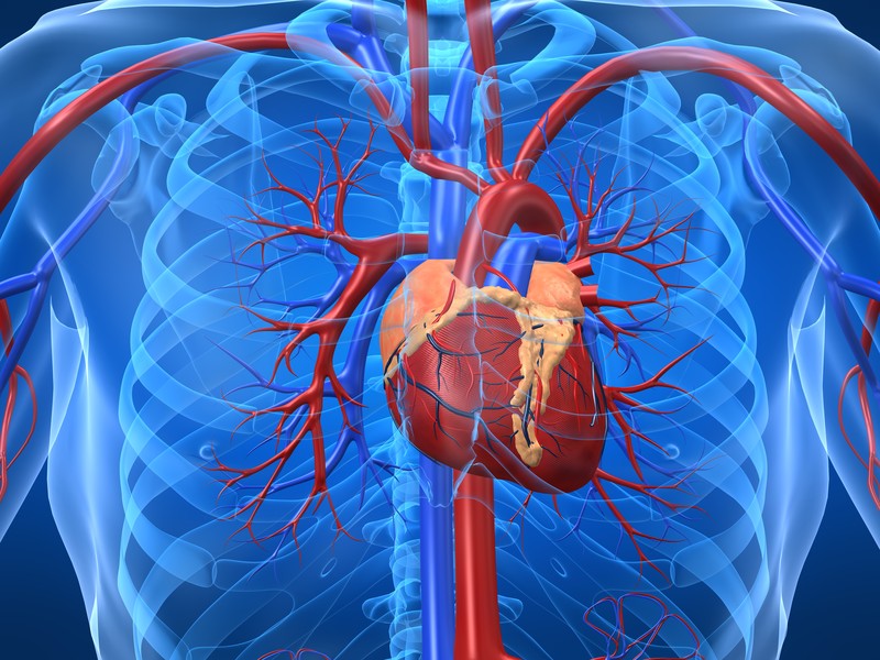 Symptom and Treatment of Heart Disease