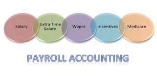 Payroll Accounting Service Provider