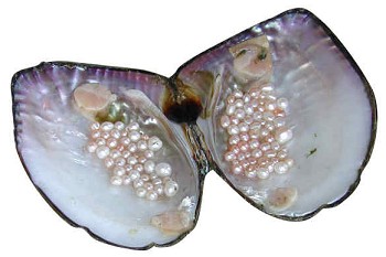Commercial Value of Freshwater Pearl