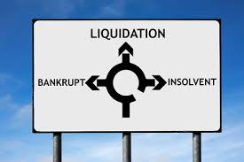 Insolvency Definition