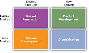 Marketing Objectives for New Product