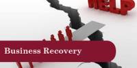 Business Recovery and Turnaround