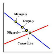 Duopoly Market