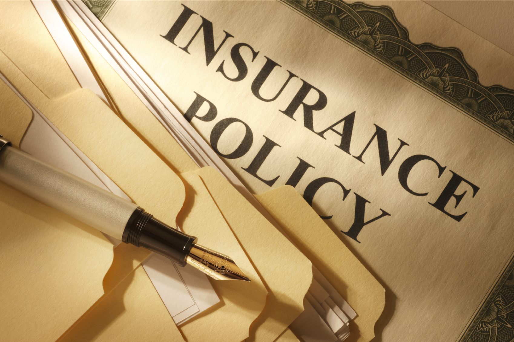 Insurance Policy Description
