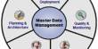 Advantages of Master Data Management
