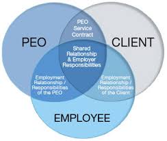 Guideline for Professional Employer Organization