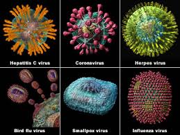 Kind of Viruses
