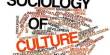 Sociology of Culture