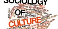 Culture Sociology
