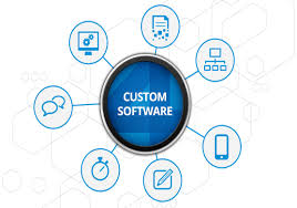 Business Advantage of Custom Software