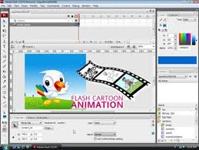 About Flash Animation