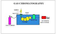 About Gas Chromatography
