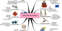 Labour Market Flexibility