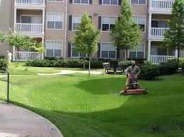 Landscaping Services Can Improve Commercial Environment
