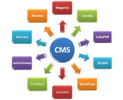 Content Management Software Systems
