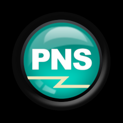 Professional Network Service