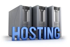 Server Hosting Service