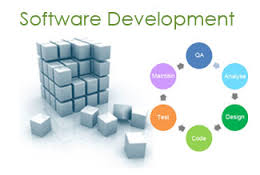 Software Development for Project Management