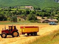 Productivity with Agricultural Tractors