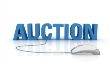 Online Auctions - Assignment Point