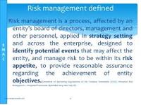 Define Risk Management Consultants