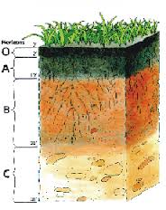 Soil Science Resource
