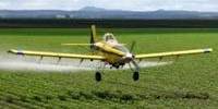 Use of Pesticides in the Agricultural Industry