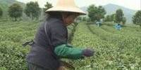 Role of Agriculture in China