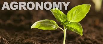Agronomy Definition