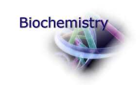 biochemistry geneseo edu nursing 1st students year biochem science assignment point helms email
