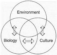 Biocultural Anthropology