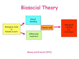 Biosocial Theory