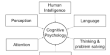 Cognitive Psychology Theory